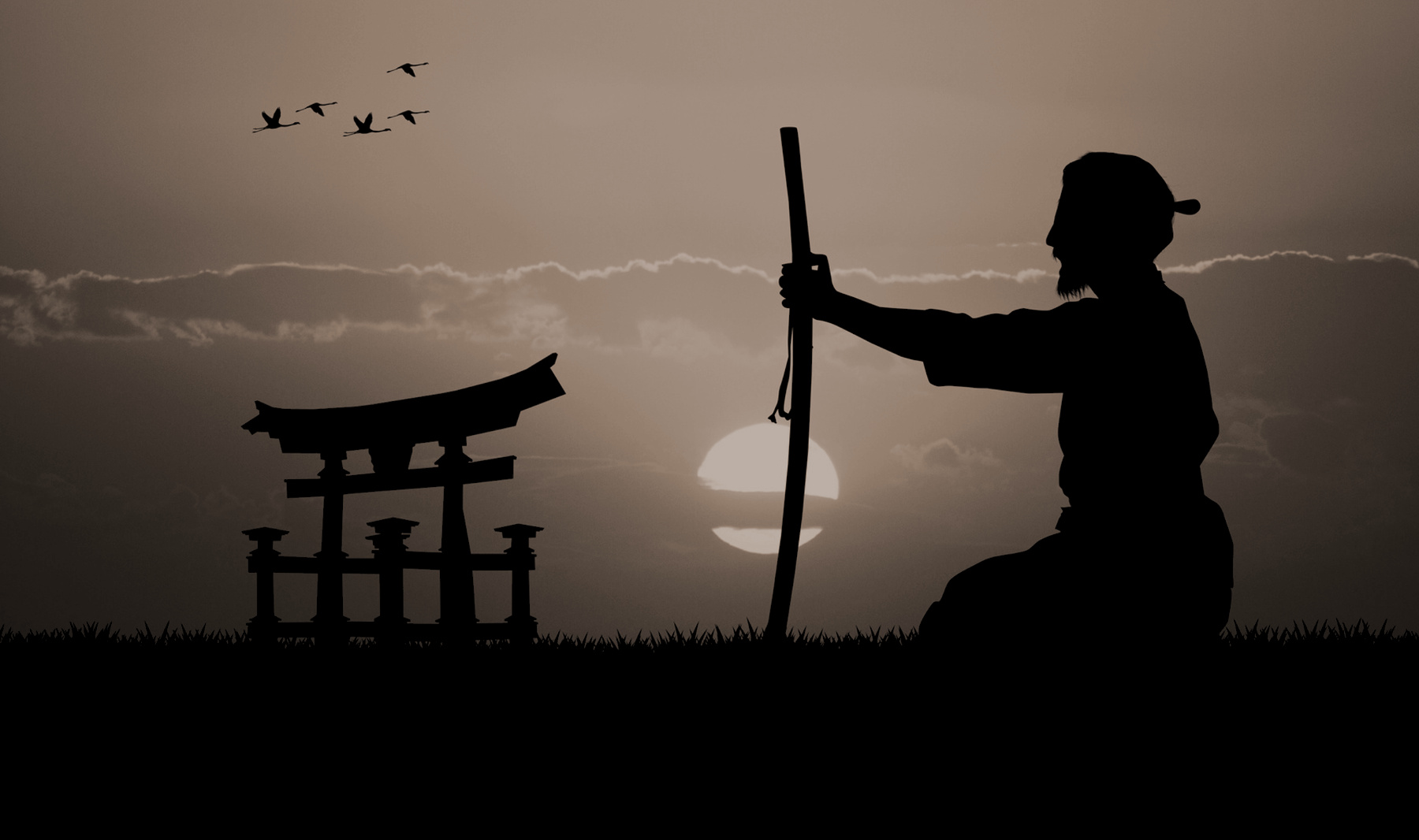 Sensei meditating...